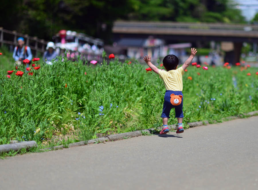 活動実績